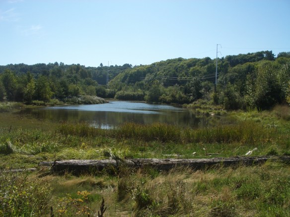 Herring's House lagoon 2008