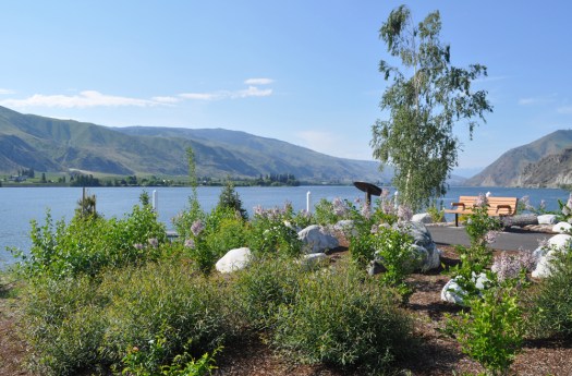 Entiat Park_Shoreline_DSC_0165_05162015_small